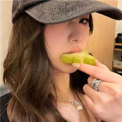 大象与小蝶物语